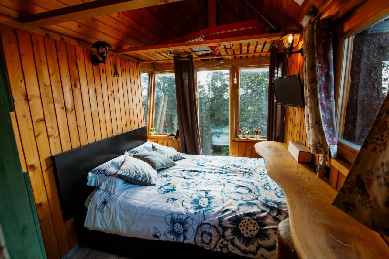 Vila Tree House Alpinka Krvavec Cerklje na Gorenjskem Exteriér fotografie